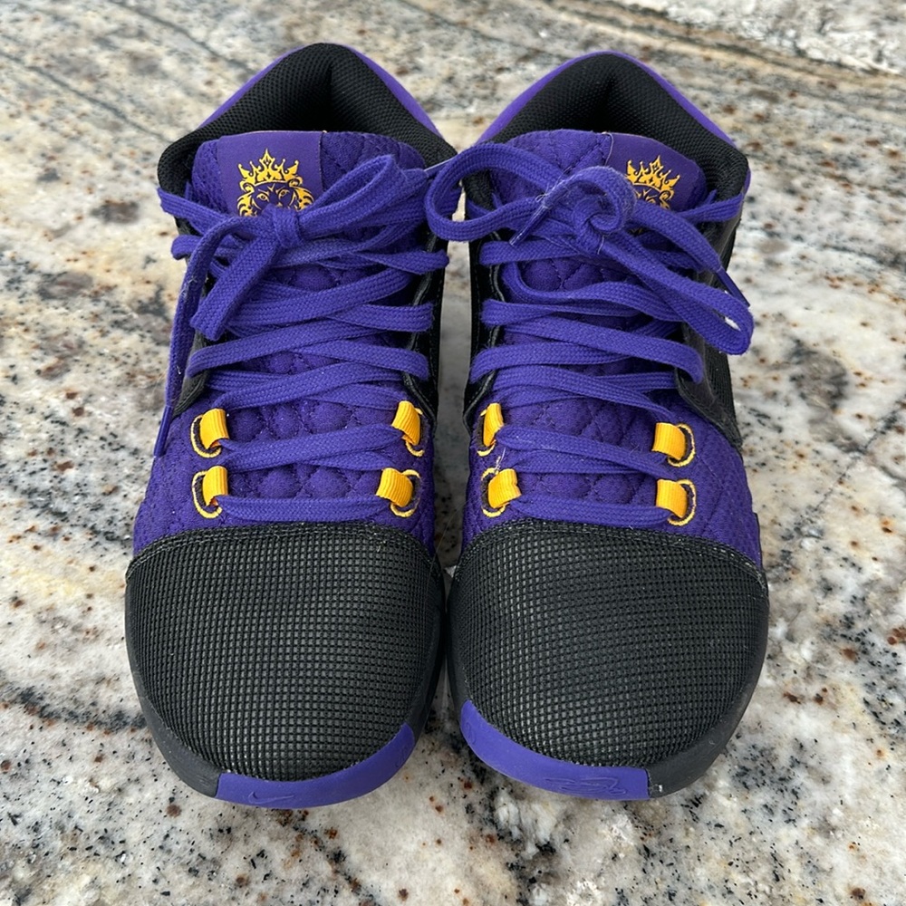 LeBron Witness Basketball Shoes